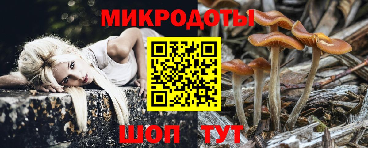 Псилоцибиновые грибы Magic Shrooms Кувандык